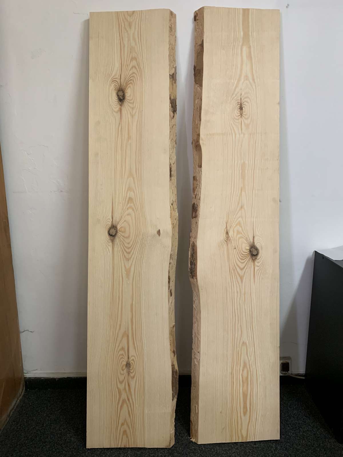 Fošna - sibiřská borovice